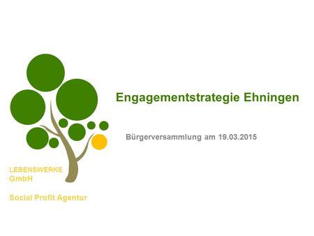 LEBENSWERKE GmbH Social Profit Agentur Engagementstrategie Ehningen Bürgerversammlung am 19.03.2015.