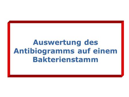 Auswertung des Antibiogramms auf einem Bakterienstamm