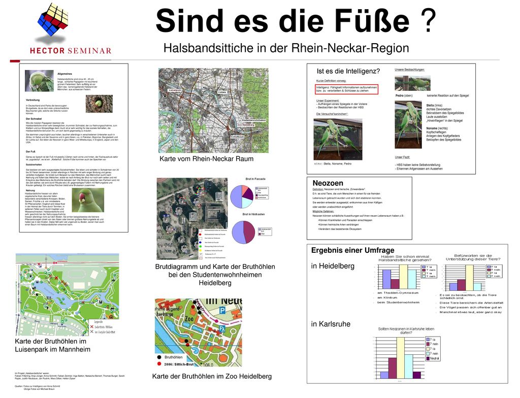 Sie sucht ihn rhein neckar