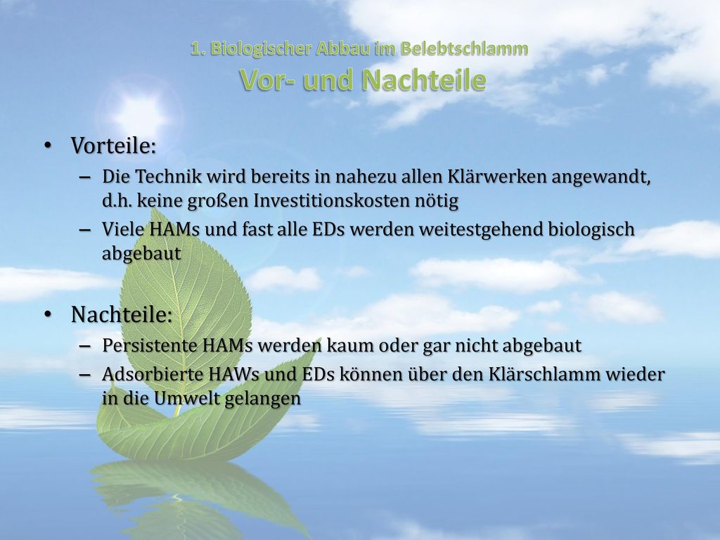 Single oder beziehung vor- und nachteile