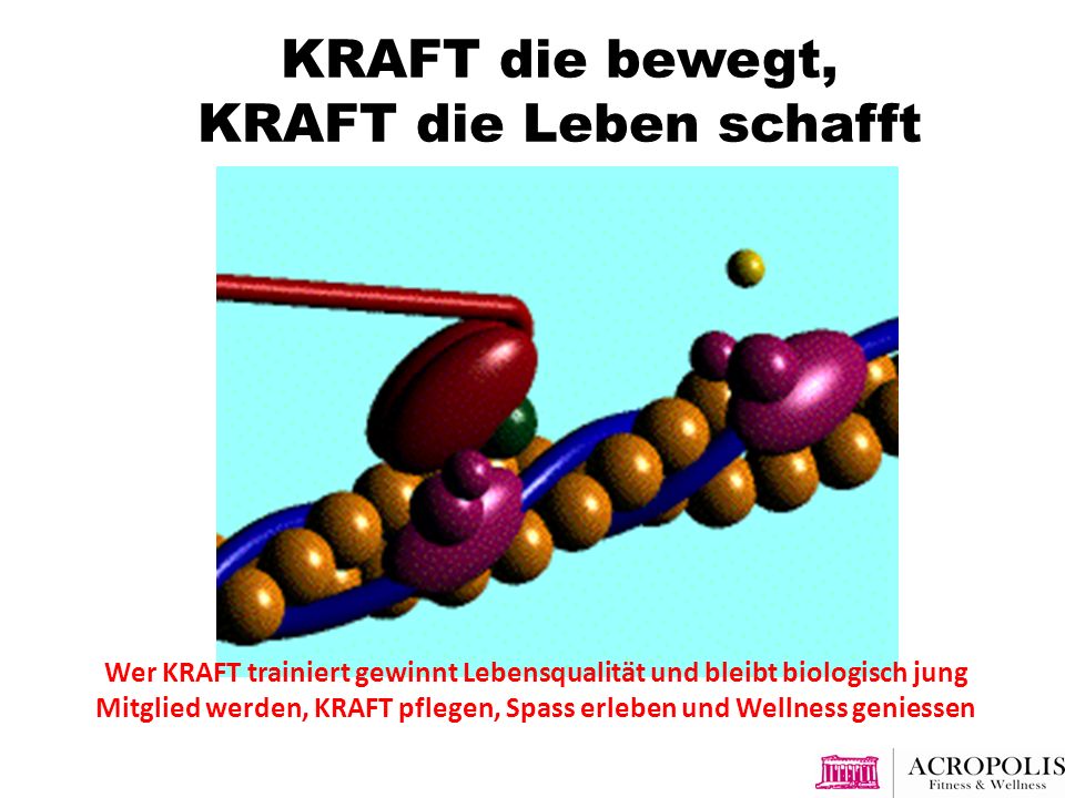 abbaustoffwechsel