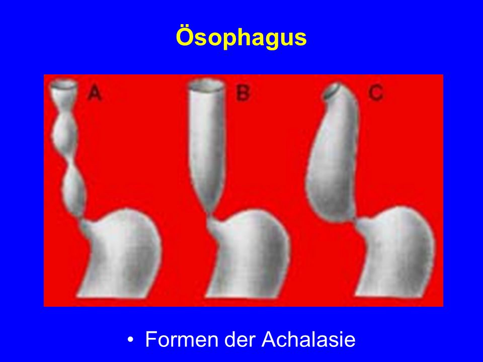 download risikoverhalten von