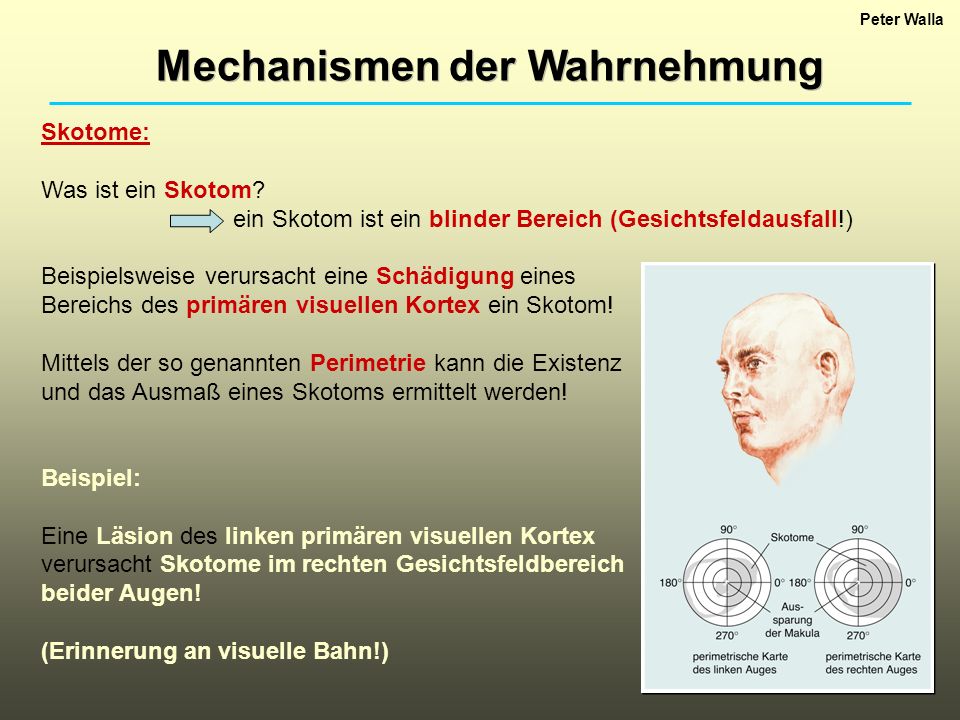 read management jenseits der postmoderne plädoyer für ein neues denken