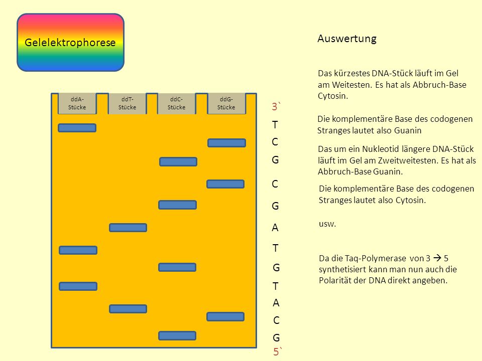 pdf mechanische schwingungen und ihre messung