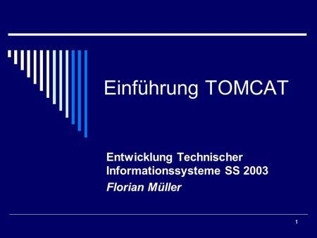 1 Einführung TOMCAT Entwicklung Technischer Informationssysteme SS 2003 Florian Müller.