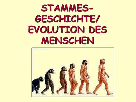 STAMMES-GESCHICHTE/ EVOLUTION DES MENSCHEN