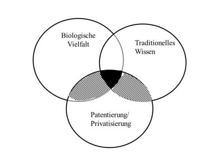 Biologische Vielfalt Traditionelles Wissen Patentierung/Privatisierung.