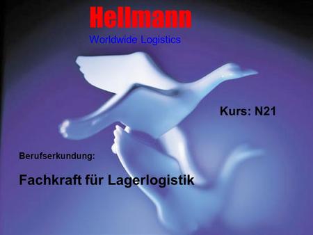 Hellmann Fachkraft für Lagerlogistik Kurs: N21 Worldwide Logistics
