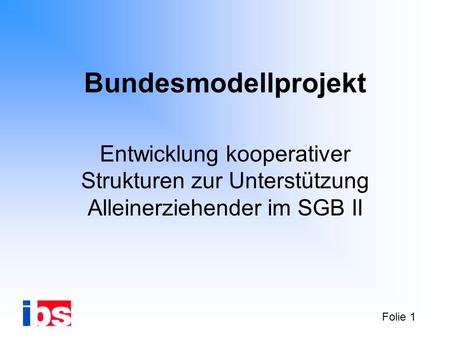 Bundesmodellprojekt Entwicklung kooperativer Strukturen zur Unterstützung Alleinerziehender im SGB II.