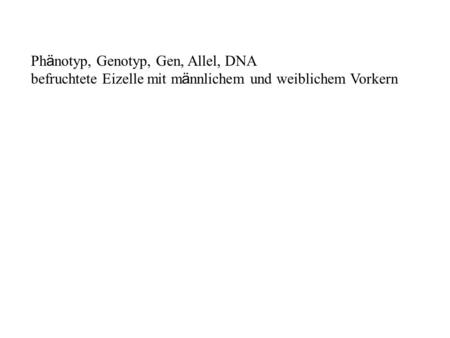 Phänotyp, Genotyp, Gen, Allel, DNA