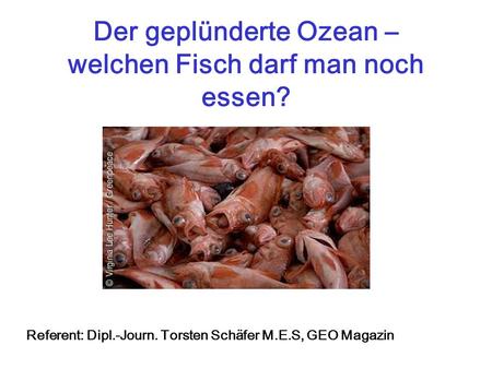 Der geplünderte Ozean – welchen Fisch darf man noch essen?