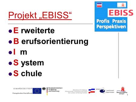 1 Projekt EBISS E rweiterte B erufsorientierung I m S ystem S chule.