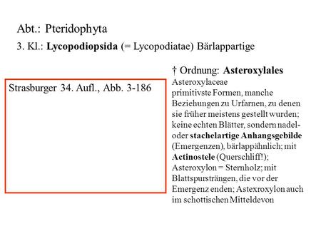3. Kl.: Lycopodiopsida (= Lycopodiatae) Bärlappartige