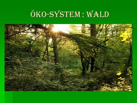 ÖKO-SYSTEM : WALD.