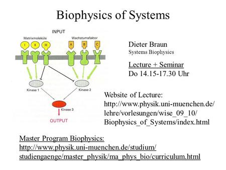 Biophysics of Systems Dieter Braun Lecture + Seminar