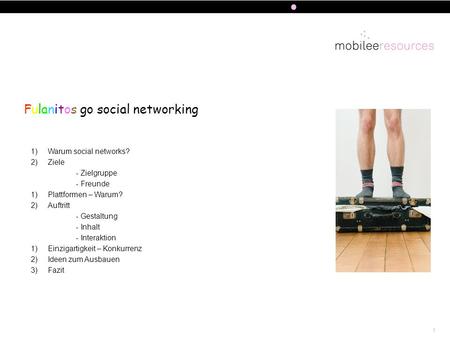 1 Fulanitos go social networking 1)Warum social networks? 2)Ziele - Zielgruppe - Freunde 1)Plattformen – Warum? 2)Auftritt - Gestaltung - Inhalt - Interaktion.