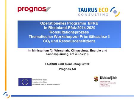 TAURUS ECO Consulting GmbH