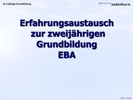 Erfahrungsaustausch zur zweijährigen Grundbildung EBA ©by A. Bader.