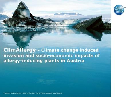 ClimAllergy - Climate change induced invasion and socio-economic impacts of allergy-inducing plants in Austria.