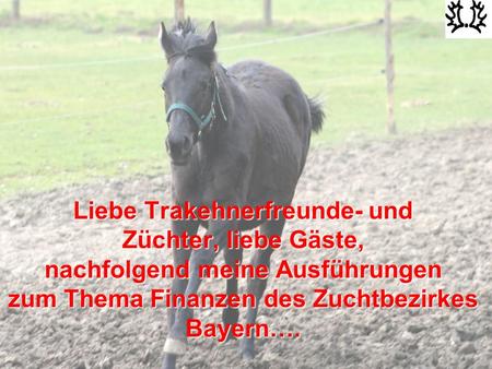 Liebe Trakehnerfreunde- und Züchter, liebe Gäste, nachfolgend meine Ausführungen zum Thema Finanzen des Zuchtbezirkes Bayern….