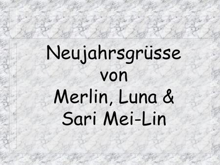 Neujahrsgrüsse von Merlin, Luna & Sari Mei-Lin. Wer wir sind?