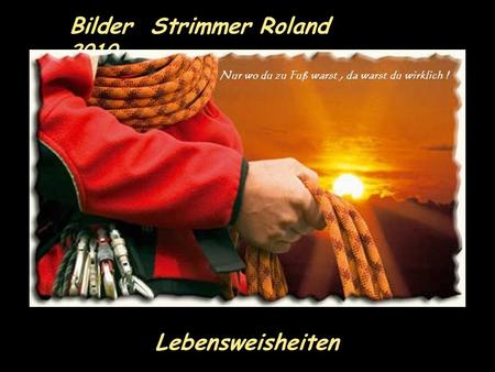 Bilder  Strimmer Roland