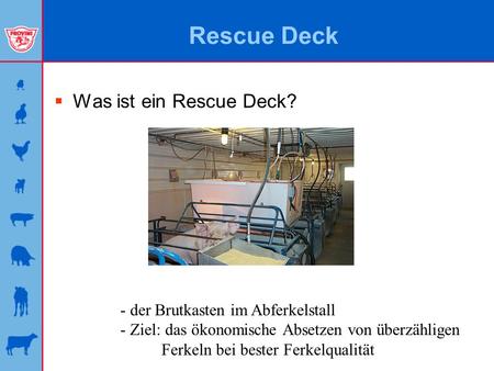 Rescue Deck Was ist ein Rescue Deck? - der Brutkasten im Abferkelstall