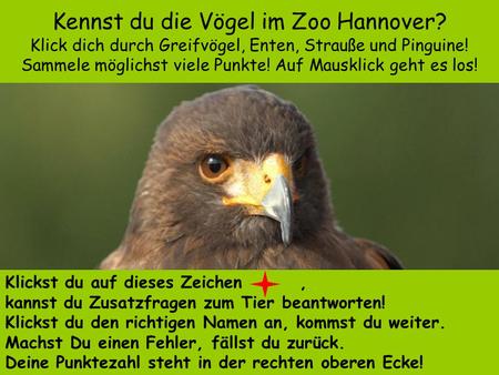 Kennst du die Vögel im Zoo Hannover