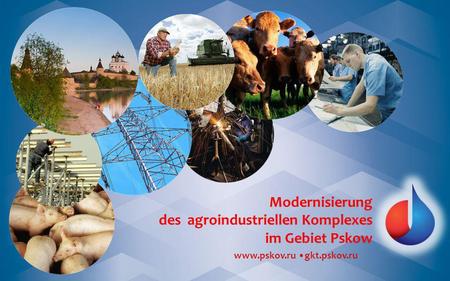Www.pskov.ru gkt.pskov.ru Modernisierung des agroindustriellen Komplexes im Gebiet Pskow.