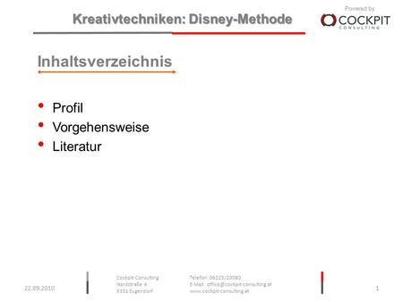 Inhaltsverzeichnis Profil Vorgehensweise Literatur 22.09.2010.
