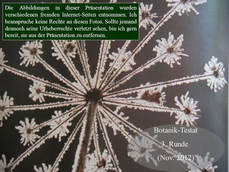 Botanik-Testat 3. Runde (Nov. 2012)