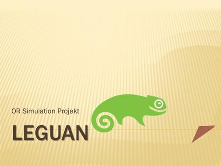 OR Simulation Projekt LeGuAn.