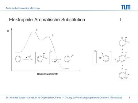 Elektrophile Aromatische Substitution I