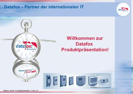 Datafox – Partner der internationalen IT