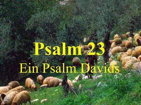 Psalm 23 Ein Psalm Davids.