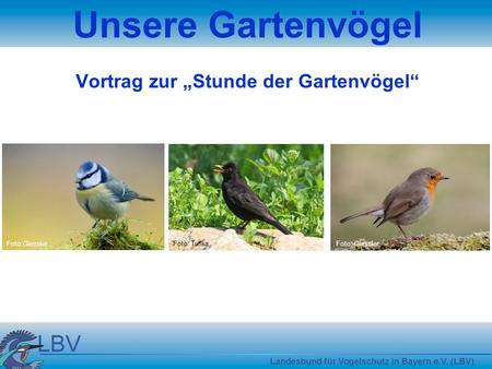 Unsere Gartenvögel Vortrag zur „Stunde der Gartenvögel“