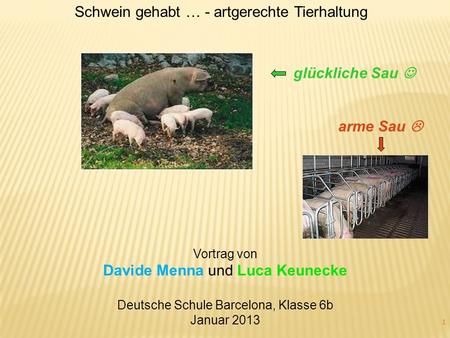 Schwein gehabt … - artgerechte Tierhaltung
