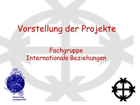 Vorstellung der Projekte Fachgruppe Internationale Beziehungen.