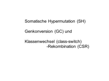 Somatische Hypermutation (SH)