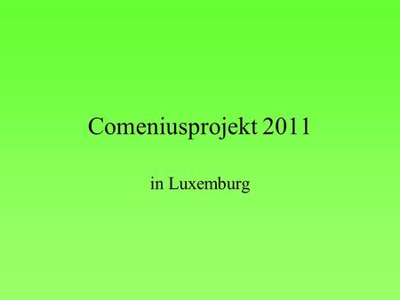 Comeniusprojekt 2011 in Luxemburg.
