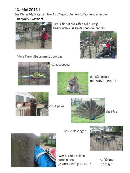 13. Mai 2013 ! Die Klasse M/O startet ihre Ausflugswoche. Am 1. Tag geht es in den Tierpark Gettorf. Justin findet die Affen sehr lustig, Peer und Niclas.