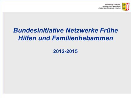 Bundesinitiative Netzwerke Frühe Hilfen und Familienhebammen