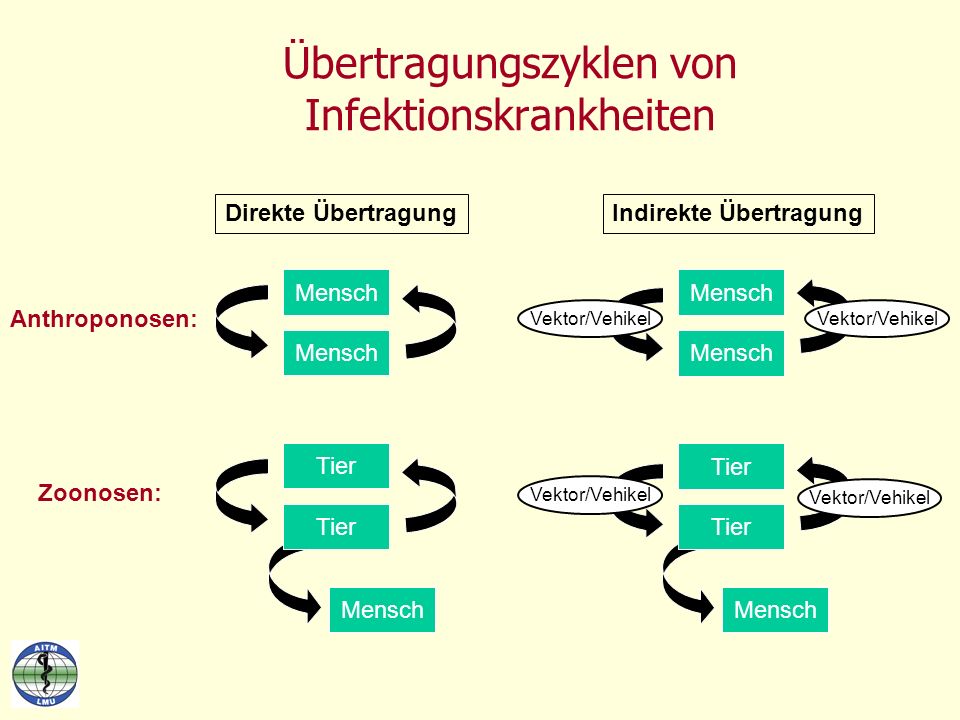 download Strategies