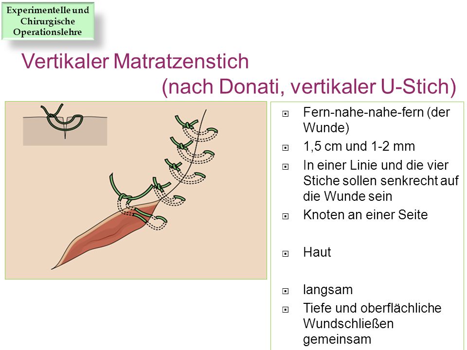 download der mensch