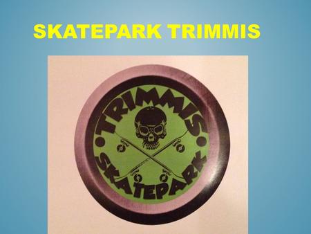 Skatepark Trimmis.
