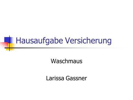 Hausaufgabe Versicherung Waschmaus Larissa Gassner.