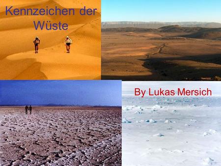 Kennzeichen der Wüste By Lukas Mersich.