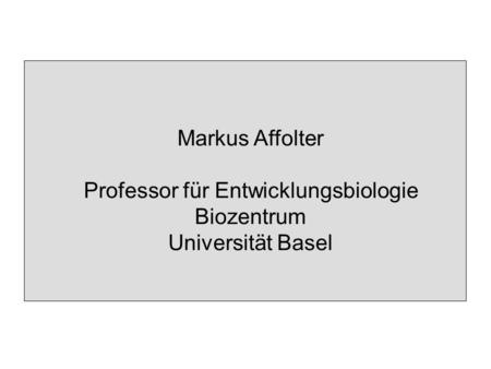 Markus Affolter Professor für Entwicklungsbiologie Biozentrum Universität Basel.