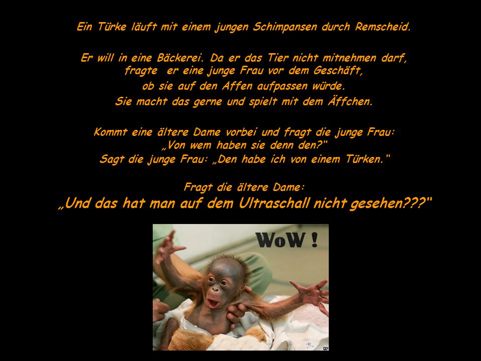 ich hätte gern ein äffchen