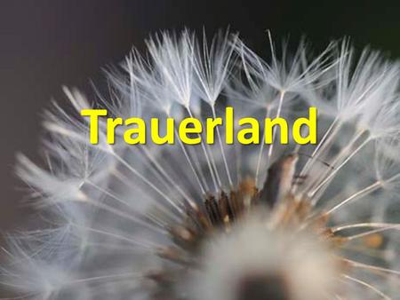 Trauerland.